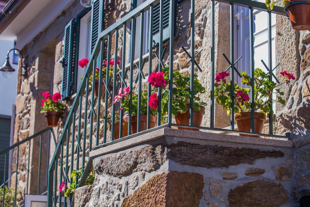 Cabanelas Country House - Casa Do Afonso Vale de Cambra Dış mekan fotoğraf