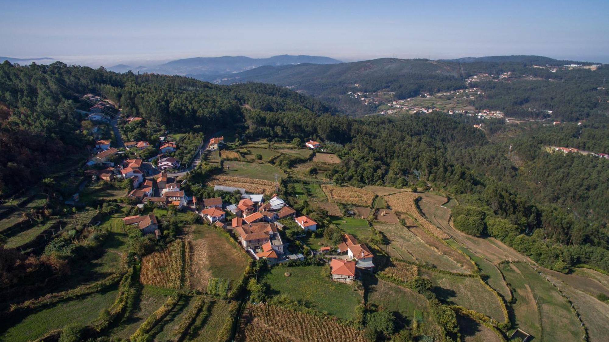 Cabanelas Country House - Casa Do Afonso Vale de Cambra Dış mekan fotoğraf