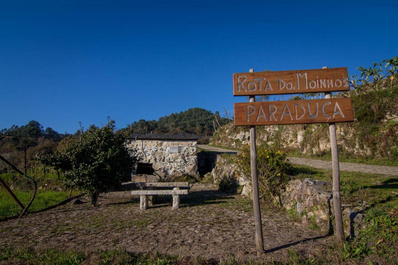 Cabanelas Country House - Casa Do Afonso Vale de Cambra Dış mekan fotoğraf